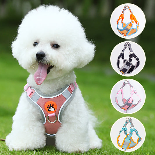 Dog Harness and Leash Set - Comfortable Pet Walking Essentials